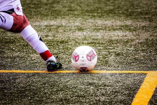 王國的風采 王國的風采