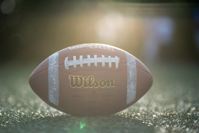 慧与耐心 慧与耐心