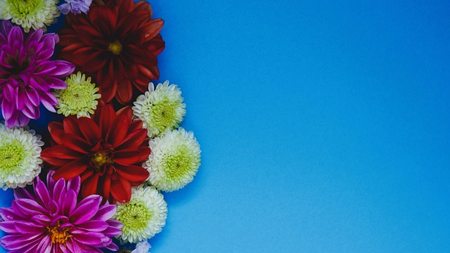 当亚历山大 当亚历山大