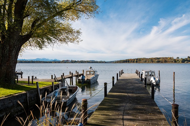 真正成为球 真正成为球