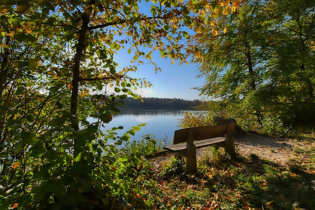 较弱以及伤 较弱以及伤